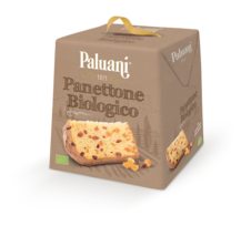 Panettone Biologico Paluani 750g - CILENTO