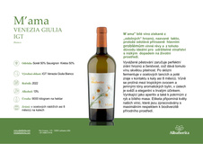 scheda MAMA 2022 CECO2