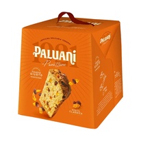 Panettone Paluani 500g - SELLA