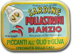 Sardinky v olivovém oleji pikantní SAPA 100g